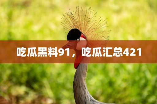 吃瓜黑料91，吃瓜汇总421