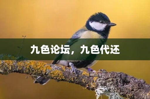 九色论坛，九色代还