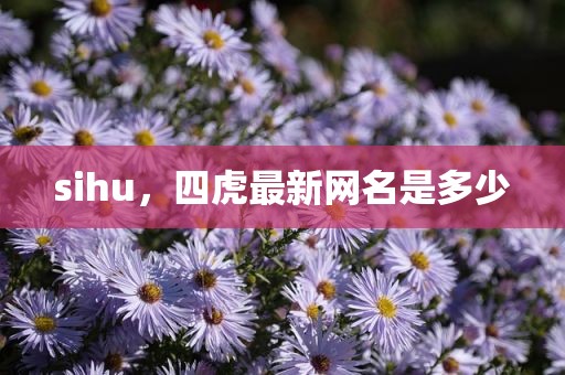 sihu，四虎最新网名是多少