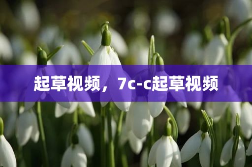 起草视频，7c-c起草视频