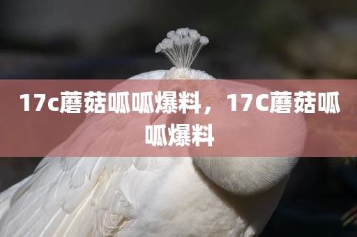 17c蘑菇呱呱爆料，17C蘑菇呱呱爆料