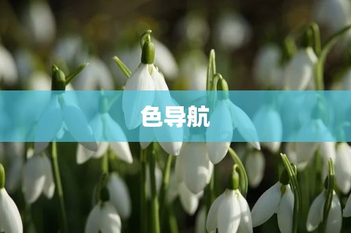 色导航