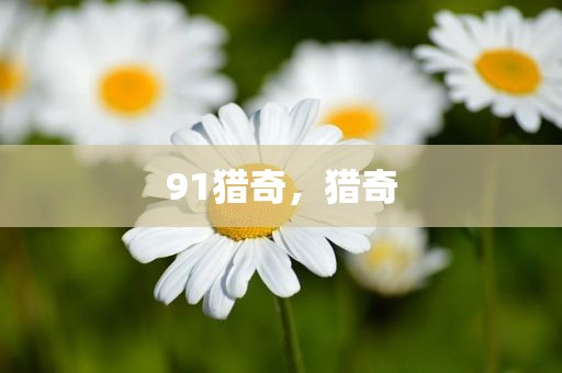91猎奇，猎奇