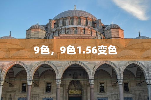 9色，9色1.56变色