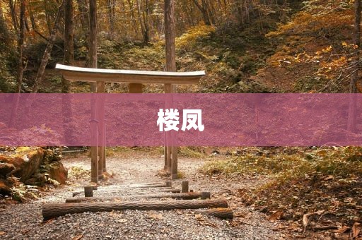 楼凤