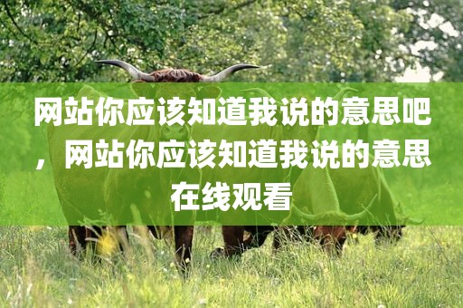 网站你应该知道我说的意思吧，网站你应该知道我说的意思在线观看