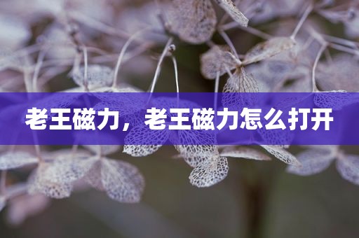 老王磁力，老王磁力怎么打开