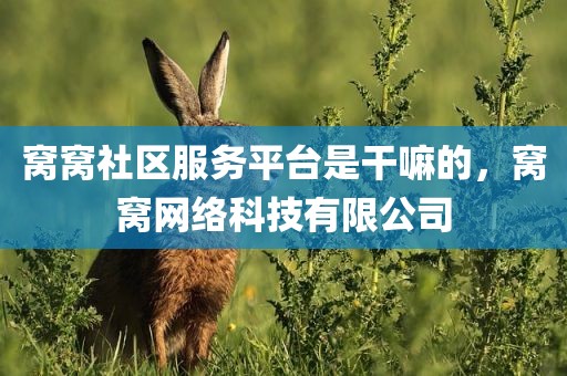 窝窝社区服务平台是干嘛的，窝窝网络科技有限公司