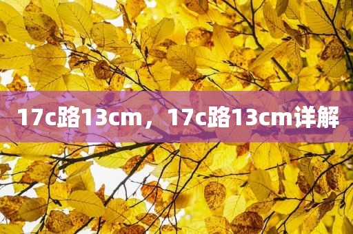 17c路13cm，17c路13cm详解