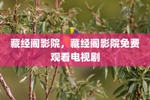 藏经阁影院，藏经阁影院免费观看电视剧