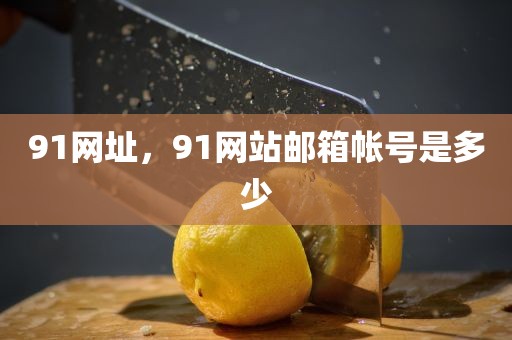 91网址，91网站邮箱帐号是多少