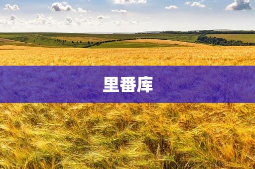里番库