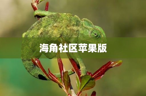 海角社区苹果版