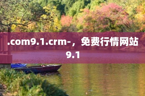 .com9.1.crm-，免费行情网站9.1