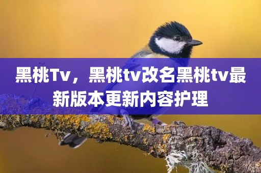 黑桃Tv，黑桃tv改名黑桃tv最新版本更新内容护理