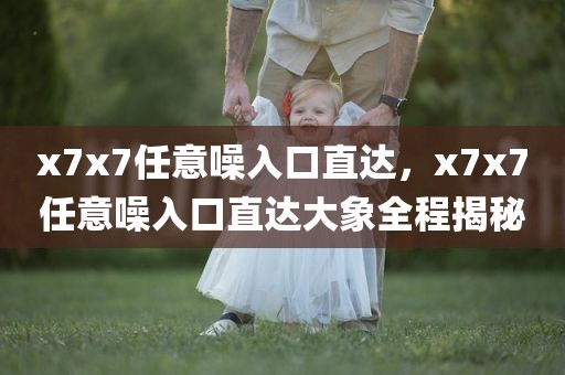 x7x7任意噪入口直达，x7x7任意噪入口直达大象全程揭秘