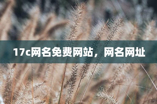 17c网名免费网站，网名网址