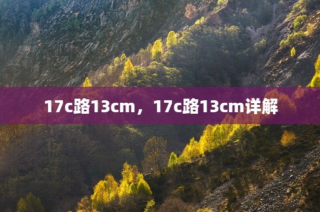 17c路13cm，17c路13cm详解