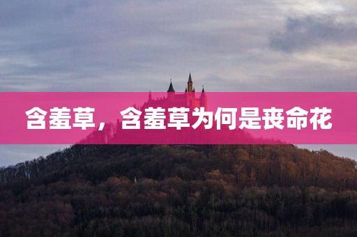 含羞草，含羞草为何是丧命花