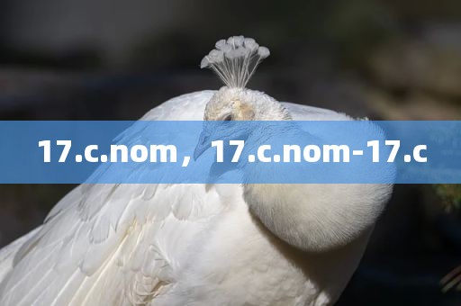17.c.nom，17.c.nom-17.c