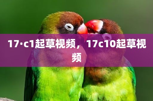 17·c1起草视频，17c10起草视频