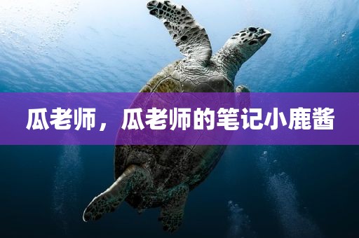 瓜老师，瓜老师的笔记小鹿酱