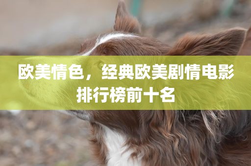 欧美情色，经典欧美剧情电影排行榜前十名