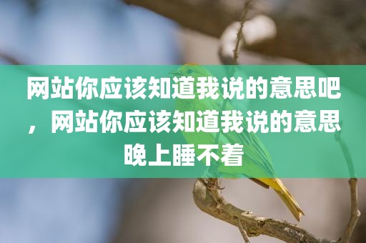 网站你应该知道我说的意思吧，网站你应该知道我说的意思晚上睡不着