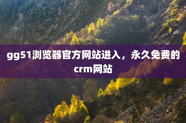 gg51浏览器官方网站进入，永久免费的crm网站