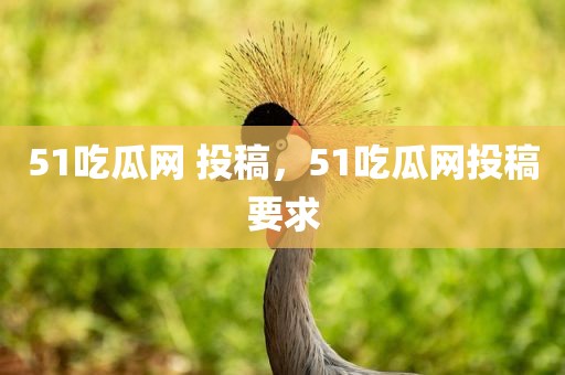 51吃瓜网 投稿，51吃瓜网投稿要求