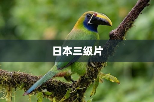 日本三级片