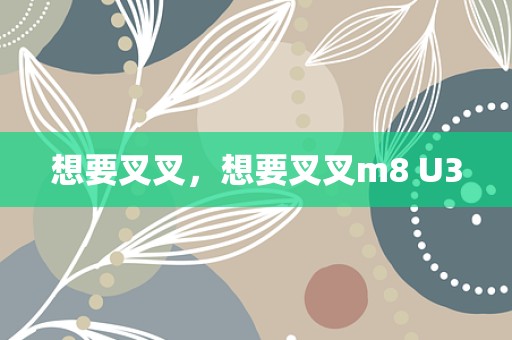 想要叉叉，想要叉叉m8 U3