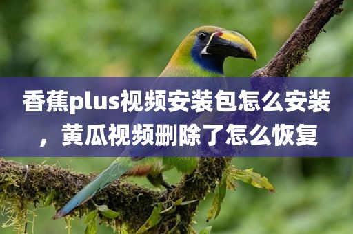 香蕉plus视频安装包怎么安装，黄瓜视频删除了怎么恢复