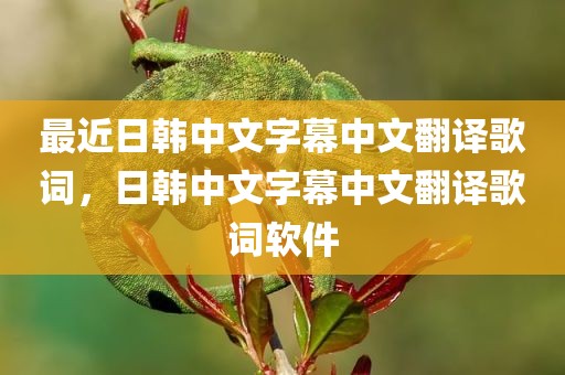 最近日韩中文字幕中文翻译歌词，日韩中文字幕中文翻译歌词软件