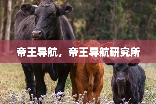 帝王导航，帝王导航研究所