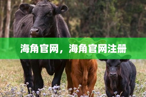海角官网，海角官网注册