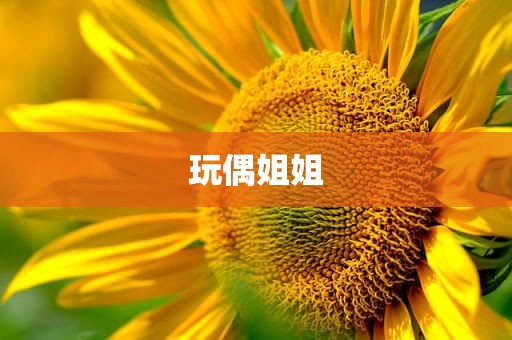 玩偶姐姐