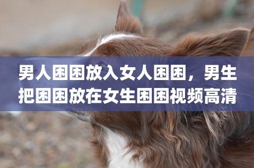 男人困困放入女人困困，男生把困困放在女生困困视频高清