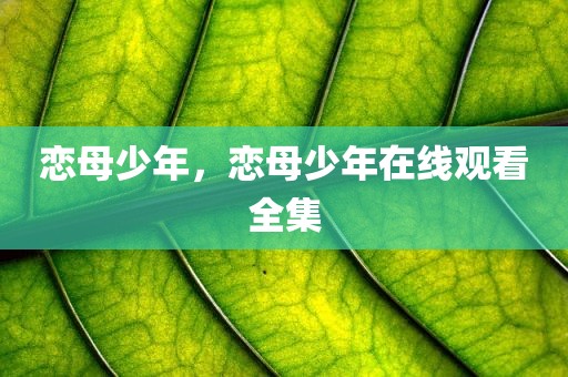 恋母少年，恋母少年在线观看全集