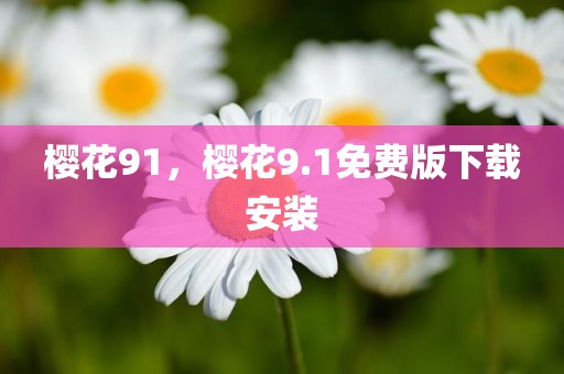 樱花91，樱花9.1免费版下载安装