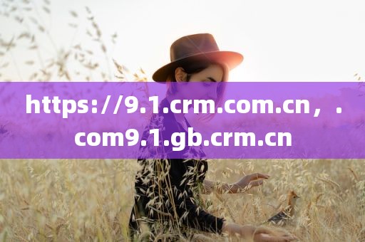 https://9.1.crm.com.cn，.com9.1.gb.crm.cn