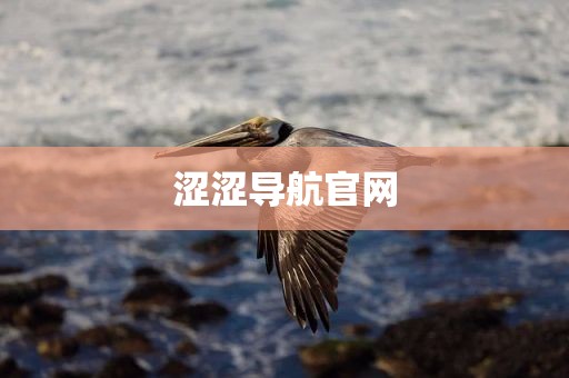 涩涩导航官网