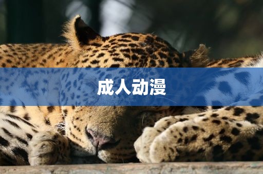 成人动漫