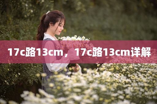 17c路13cm，17c路13cm详解