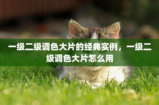 一级二级调色大片的经典实例，一级二级调色大片怎么用
