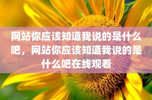 网站你应该知道我说的是什么吧，网站你应该知道我说的是什么吧在线观看