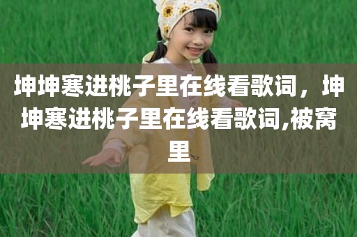 坤坤寒进桃子里在线看歌词，坤坤寒进桃子里在线看歌词,被窝里
