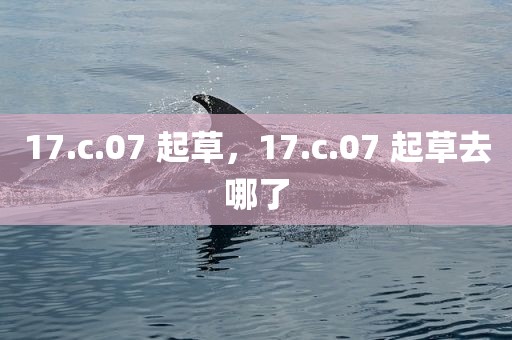 17.c.07 起草，17.c.07 起草去哪了
