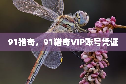 91猎奇，91猎奇VIP账号凭证