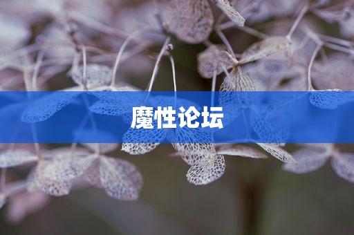 魔性论坛